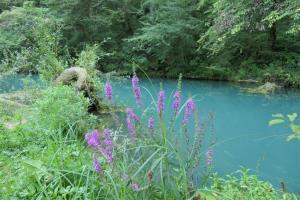 VodnikiBK16_P1000597 (Medium)